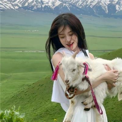 莉莉小姐的超完美日记